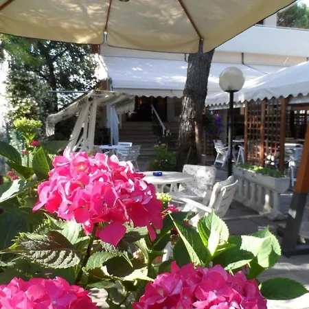 Selene Hotel Milano Marittima