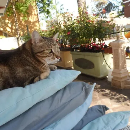 Selene 3* Milano Marittima