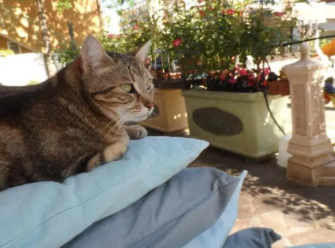 Selene 3* 밀라노마리티마